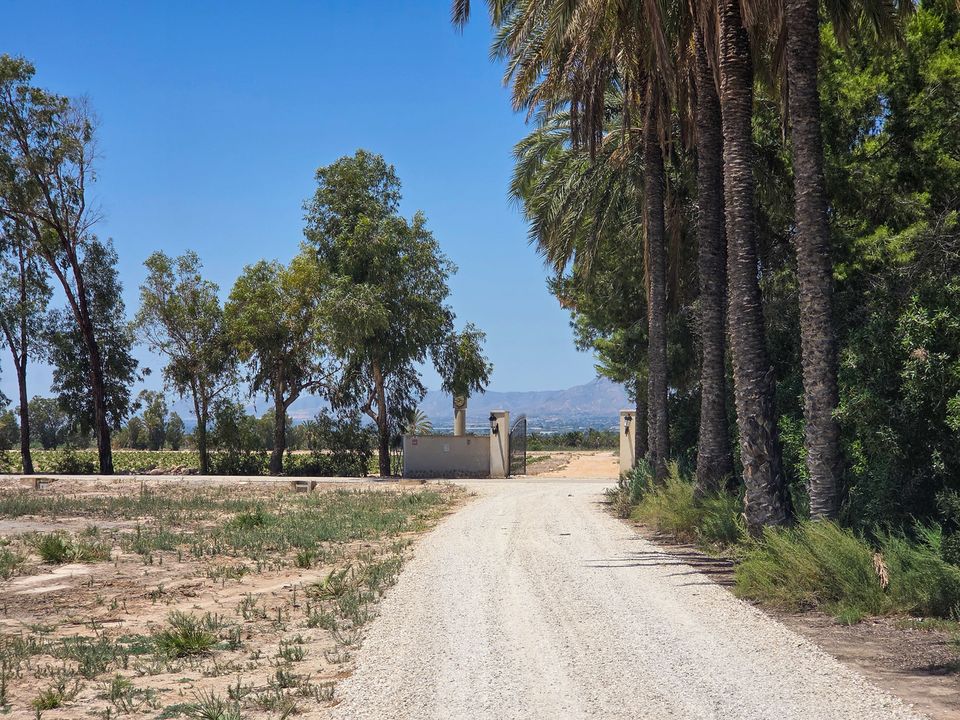Villa i Elche, Alicante - foto 2