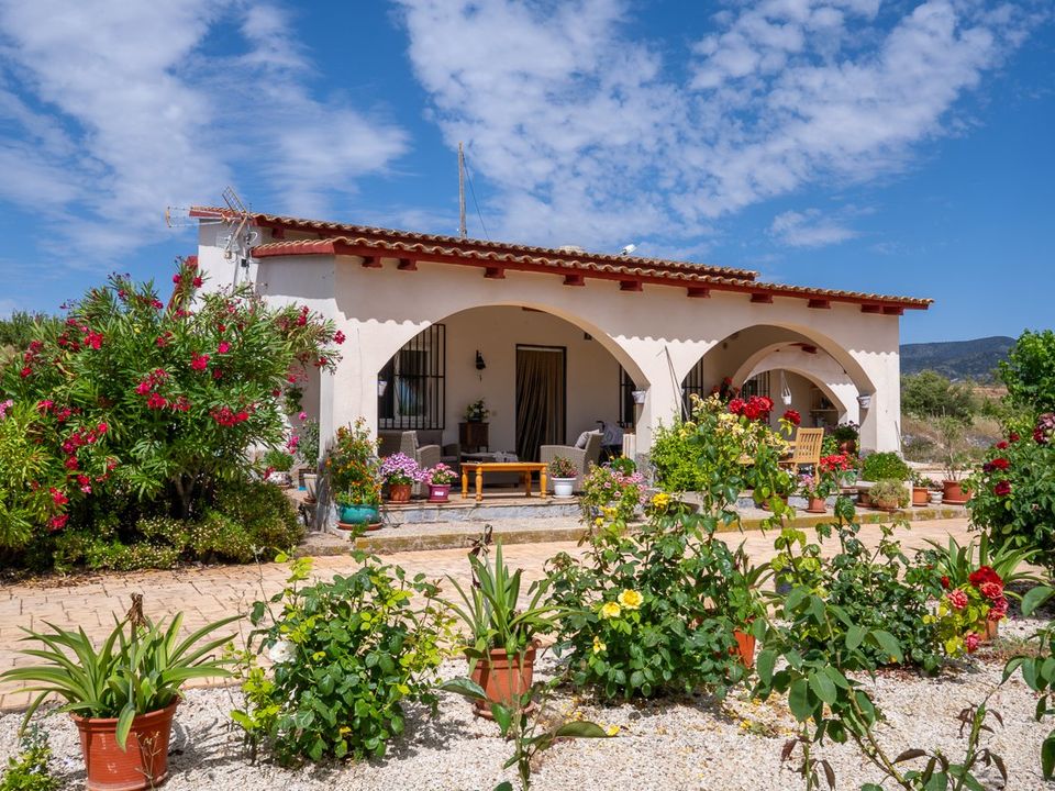 Villa i Pinoso, Alicante - foto 4