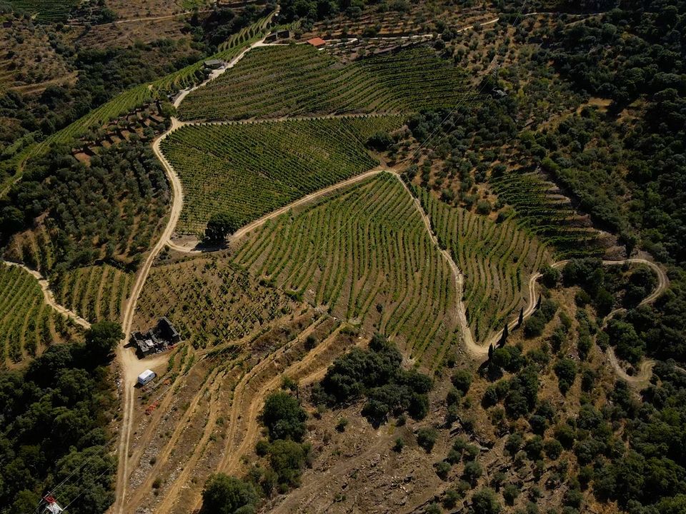 Gård i Tabuaco, Viseu - bilde 4