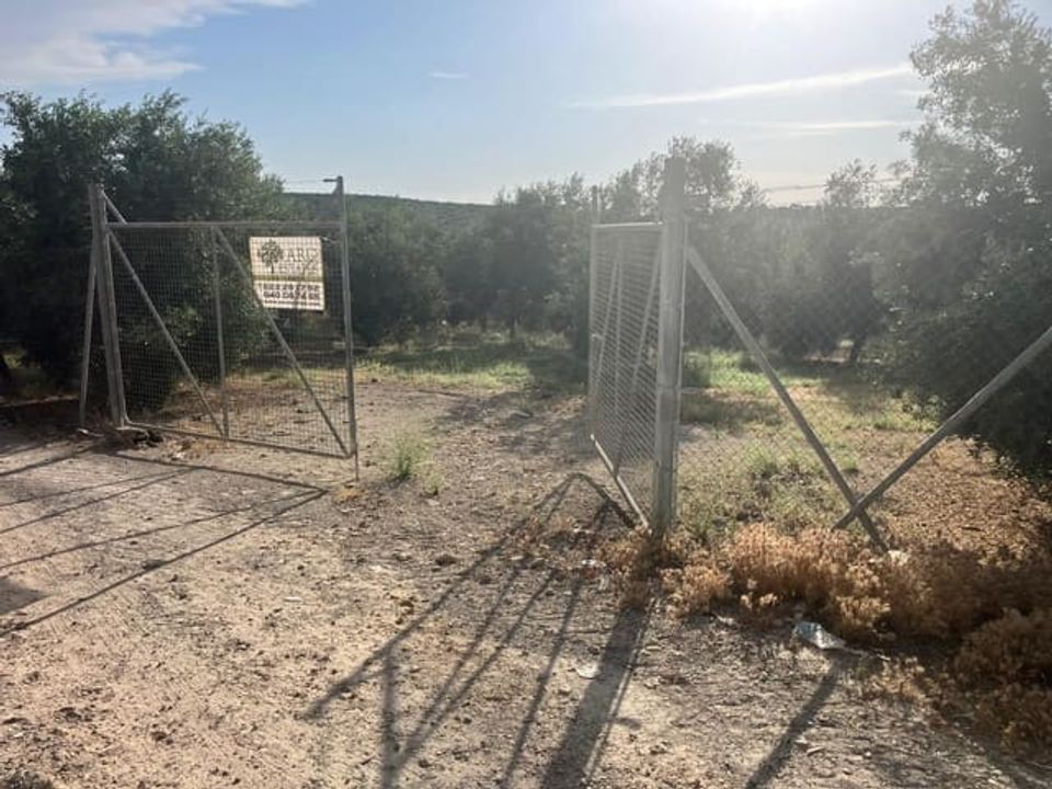Finca a Lucena, Cordoba - foto 5