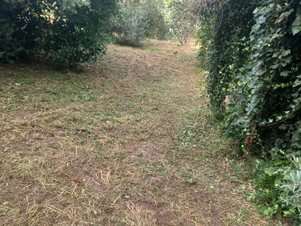 Erhvervsejendom i Morlupo, Rome - foto 2