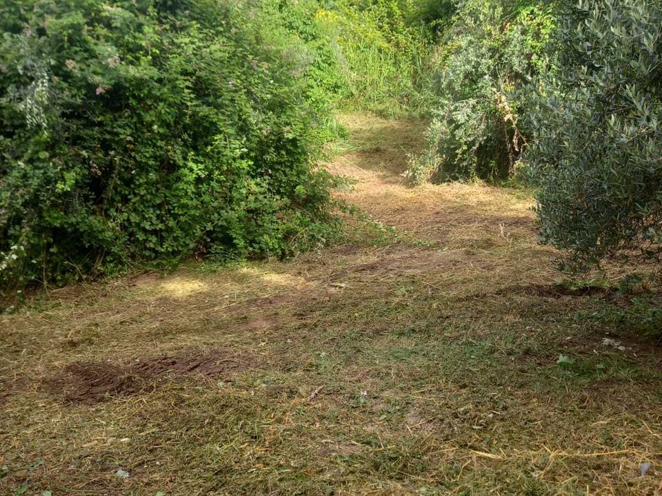 Erhvervsejendom i Morlupo, Rome - foto 3