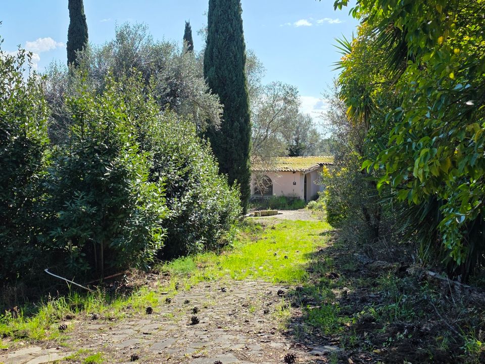 Erhvervsejendom i Morlupo, Rome - foto 1