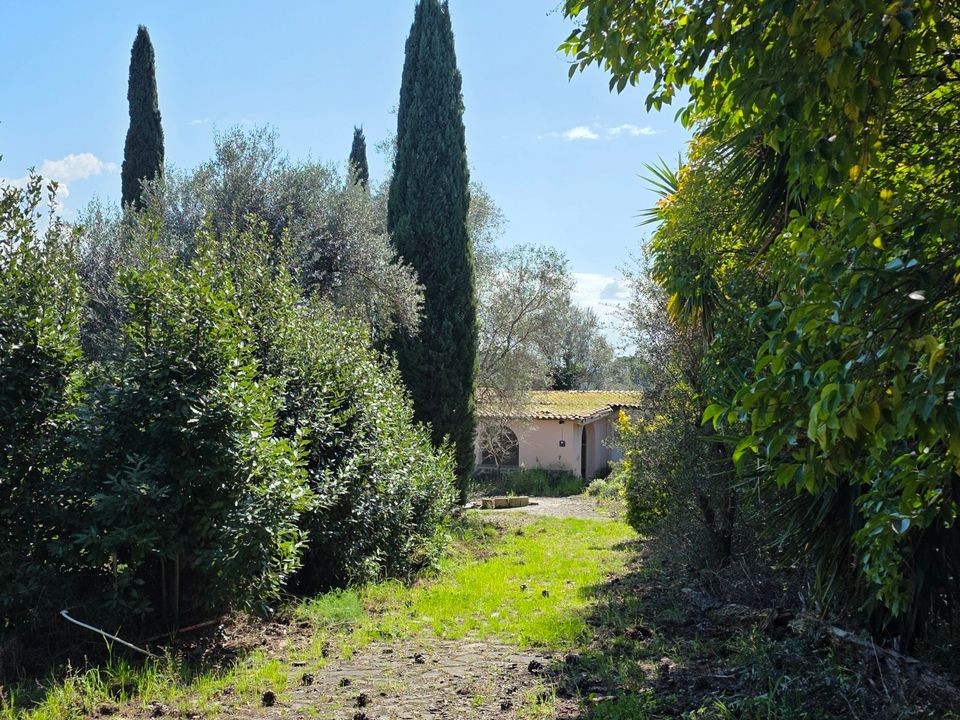 Erhvervsejendom i Morlupo, Rome - foto 2
