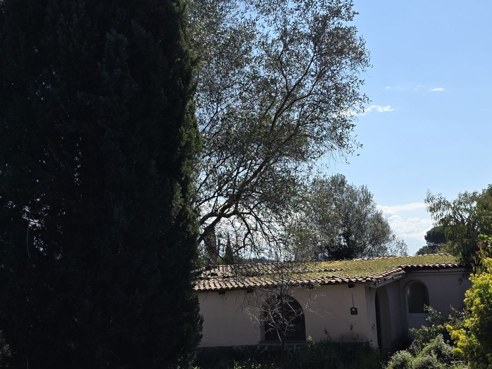 Erhvervsejendom i Morlupo, Rome - foto 3