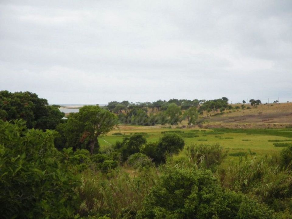 Farm i Santo Andre, Setubal - foto 2