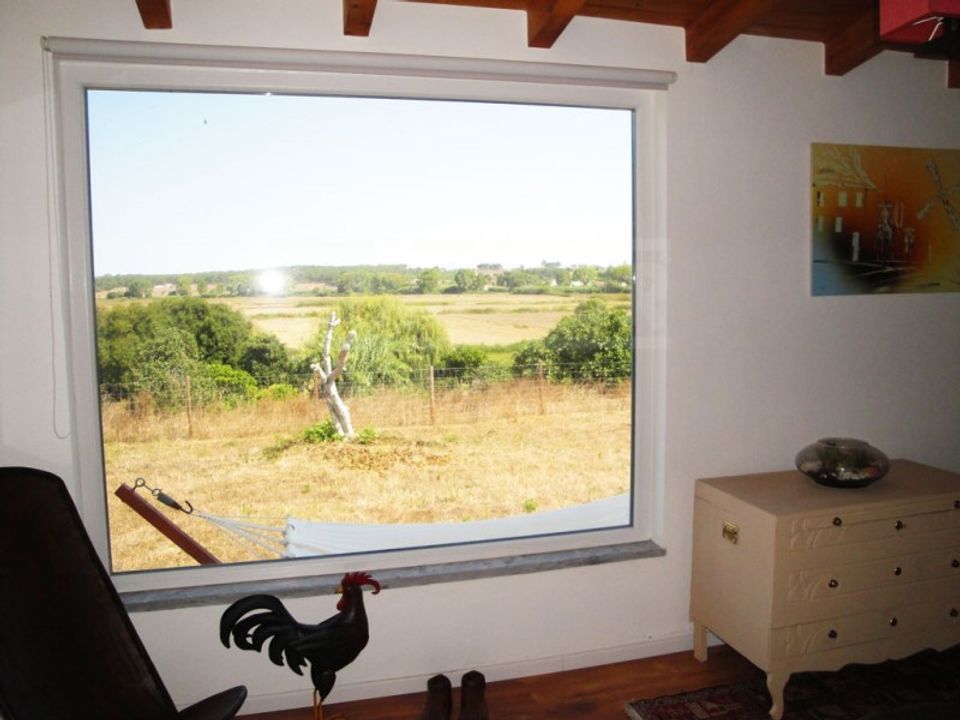 Farm i Santo Andre, Setubal - foto 5