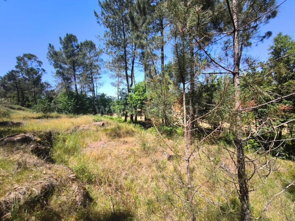 Helårsgrund i Barcelos, Braga - foto 4