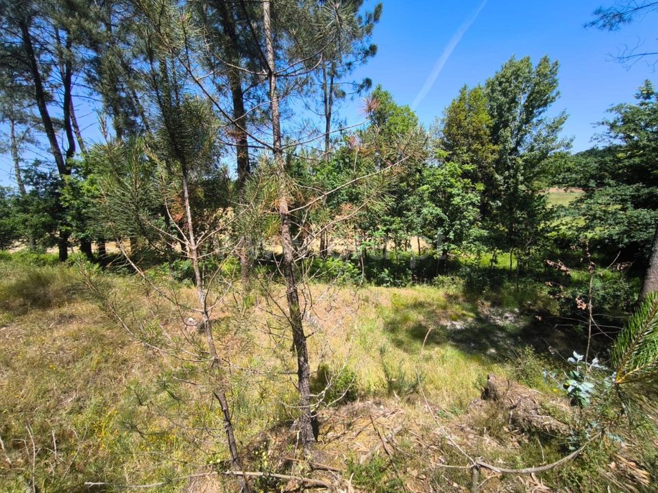 Helårsgrund i Barcelos, Braga - foto 5