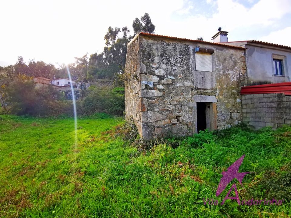Ruïna a Venade e Azevedo, Viana do Castelo - foto 4