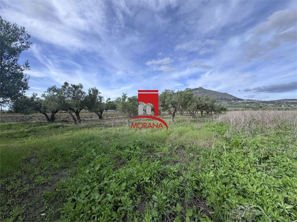 Grond in Erice, Trapani - foto 3