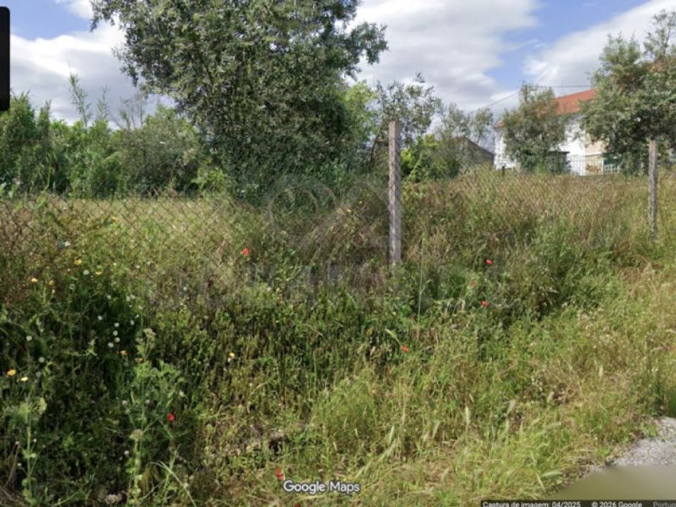 Landejendom i Abrantes, Santarem - foto 3