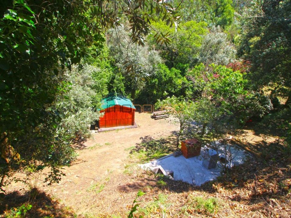 Farm i Raiva, Pedorido e Paraiso, Aveiro - foto 1