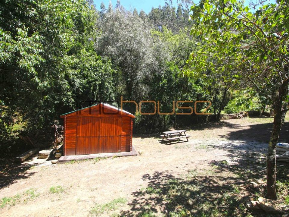 Farm i Raiva, Pedorido e Paraiso, Aveiro - foto 2