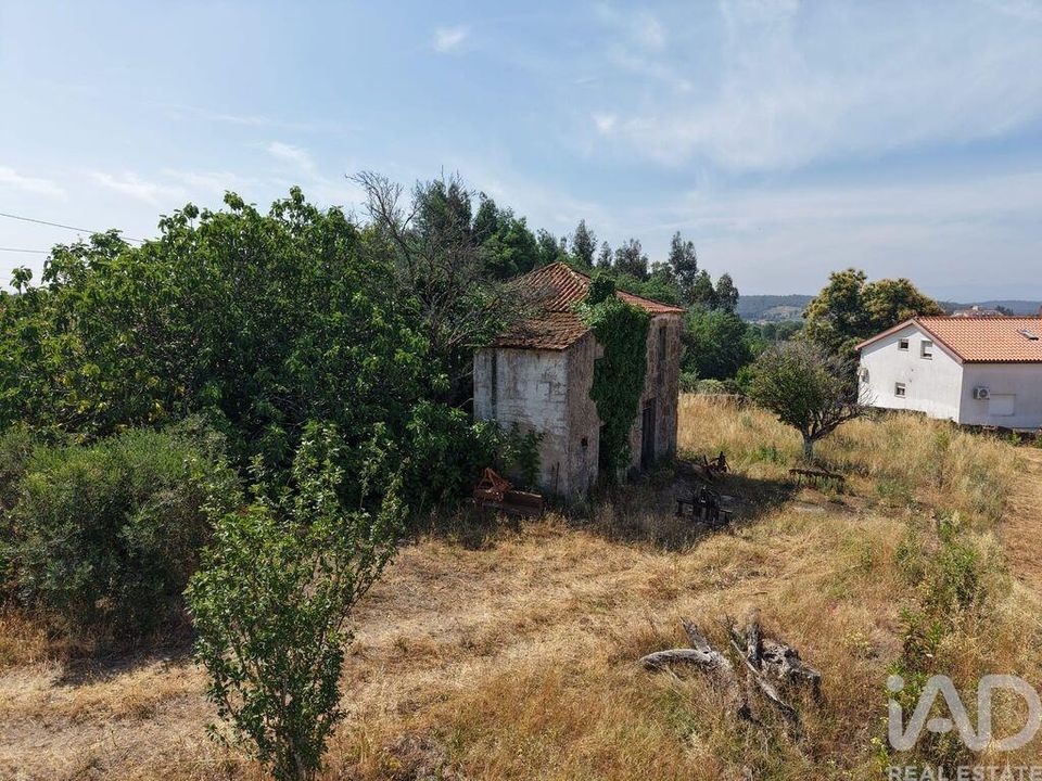 Helårsgrund i Santa Comba Dao, Viseu - foto 4