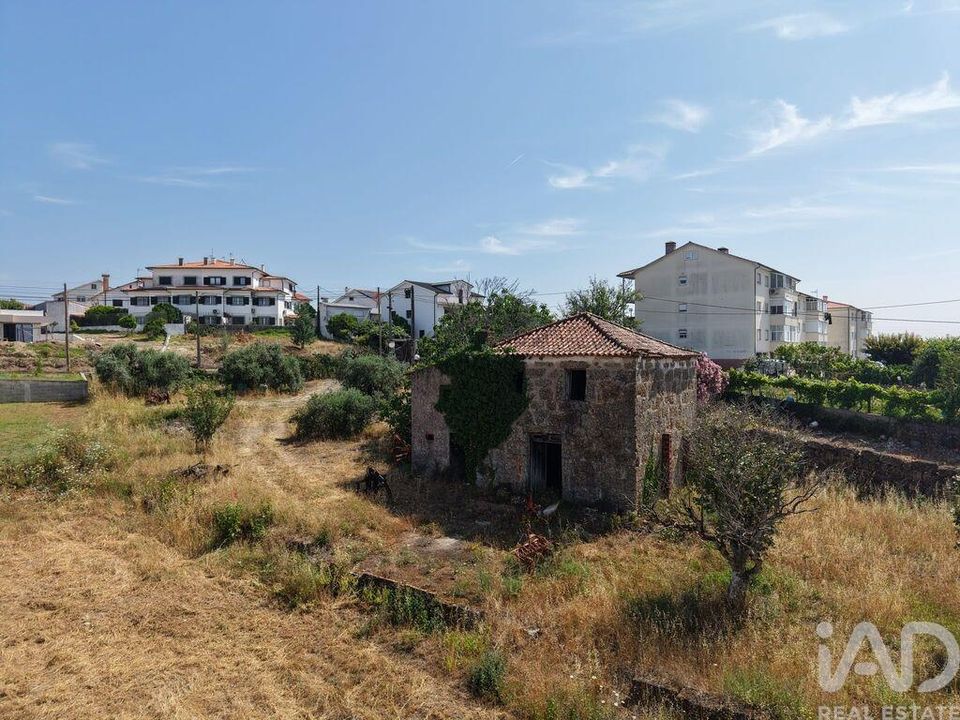 Helårsgrund i Santa Comba Dao, Viseu - foto 5