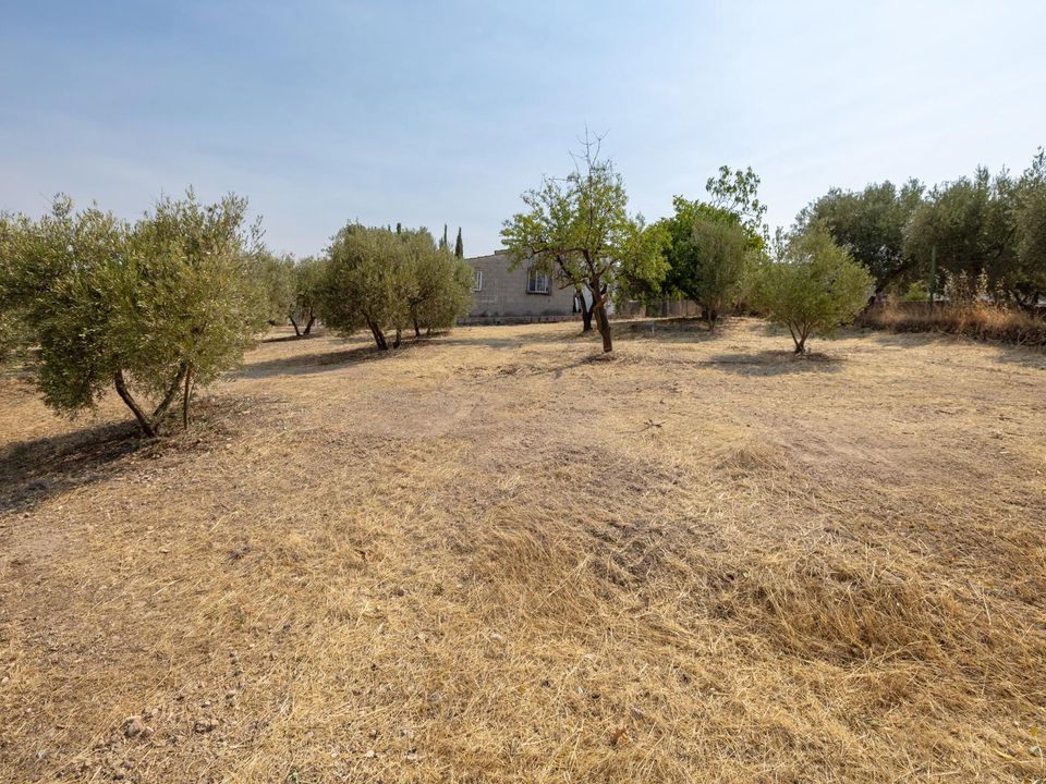 Herregård i Moraleda De Zafayona, Granada - bilde 1