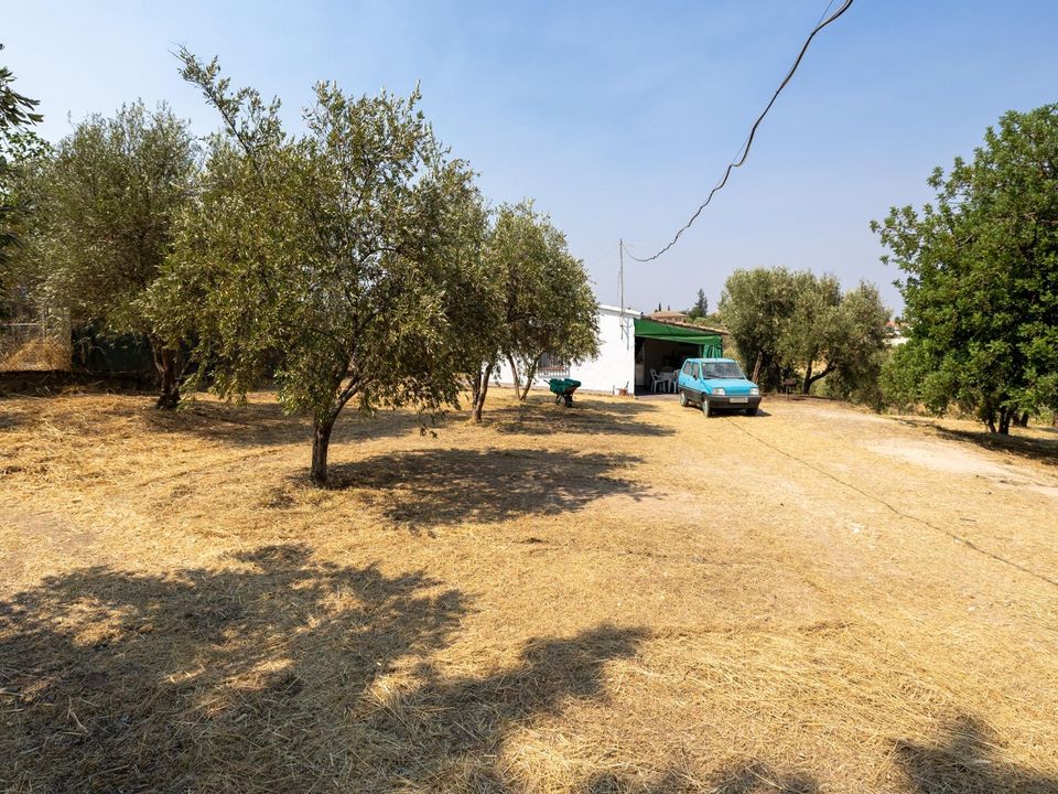 Herregård i Moraleda De Zafayona, Granada - bilde 2