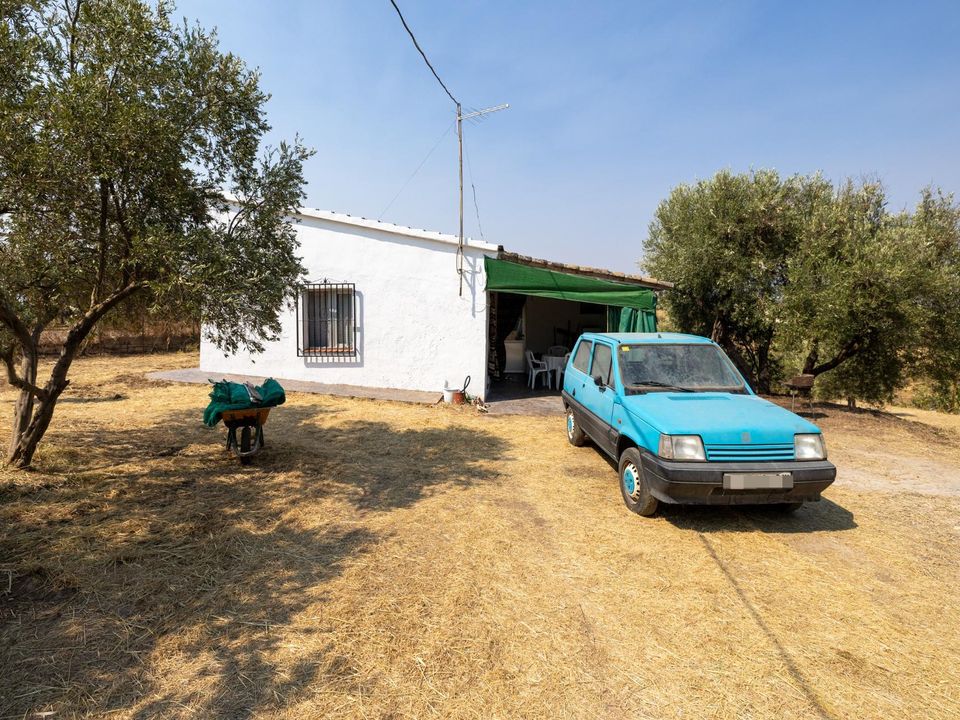 Herregård i Moraleda De Zafayona, Granada - bilde 3