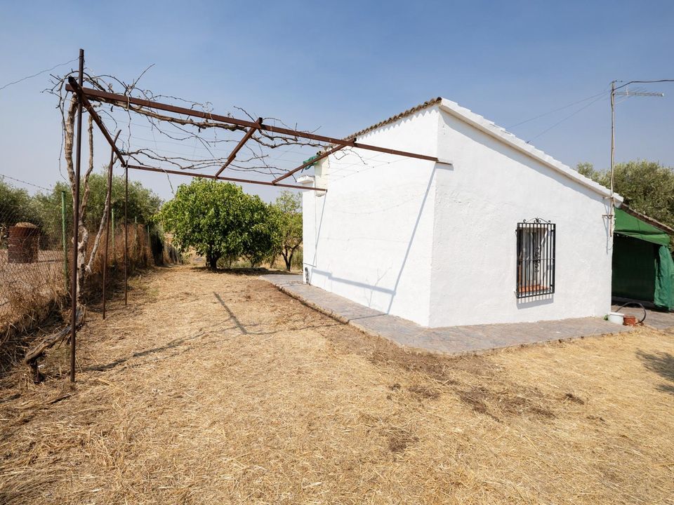 Herregård i Moraleda De Zafayona, Granada - bilde 4