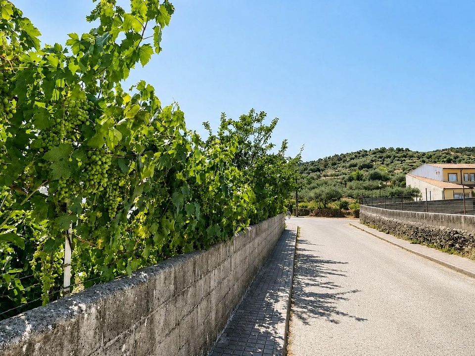 Villa en Madronera, Caceres - foto 3