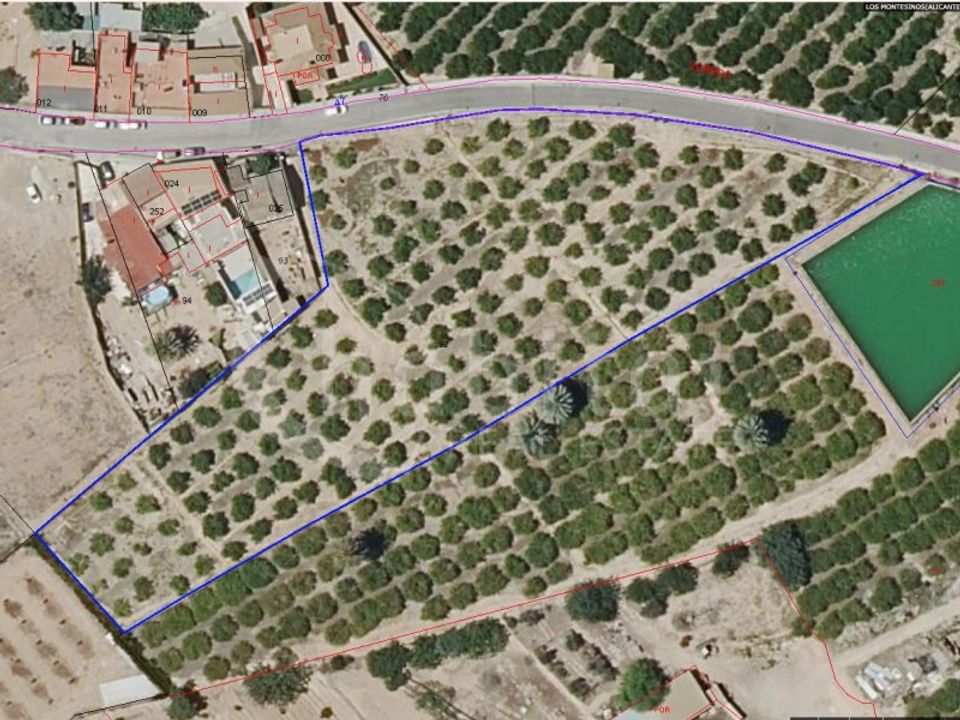 Helårsgrund i Los Montesinos, Alicante - foto 1