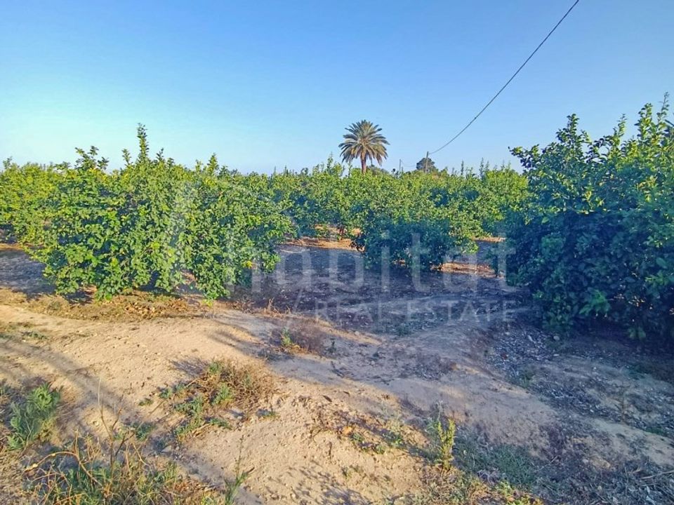 Helårsgrund i Los Montesinos, Alicante - foto 4