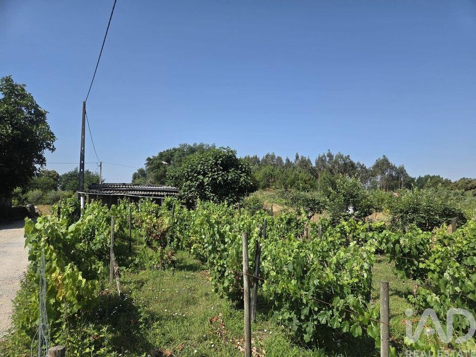 Helårsgrund i Santa Comba Dao, Viseu - foto 1