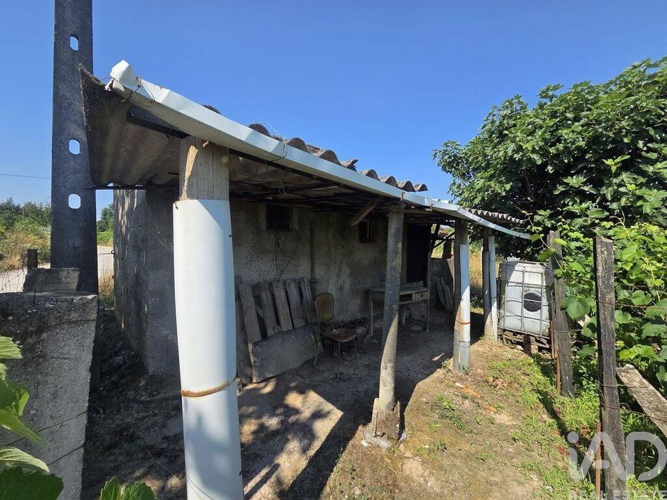 Helårsgrund i Santa Comba Dao, Viseu - foto 3