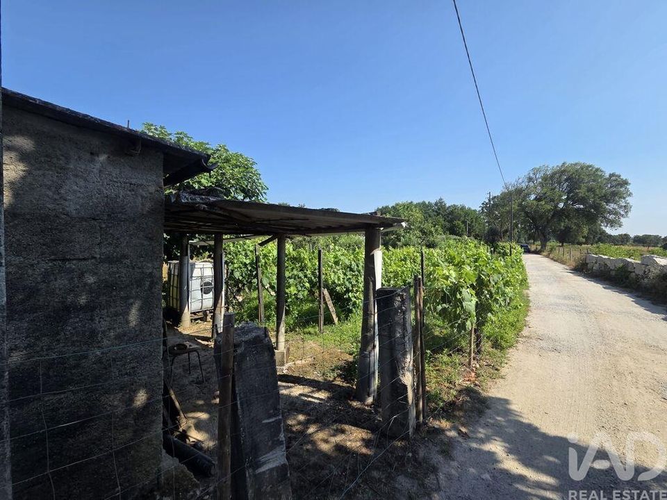 Helårsgrund i Santa Comba Dao, Viseu - foto 4