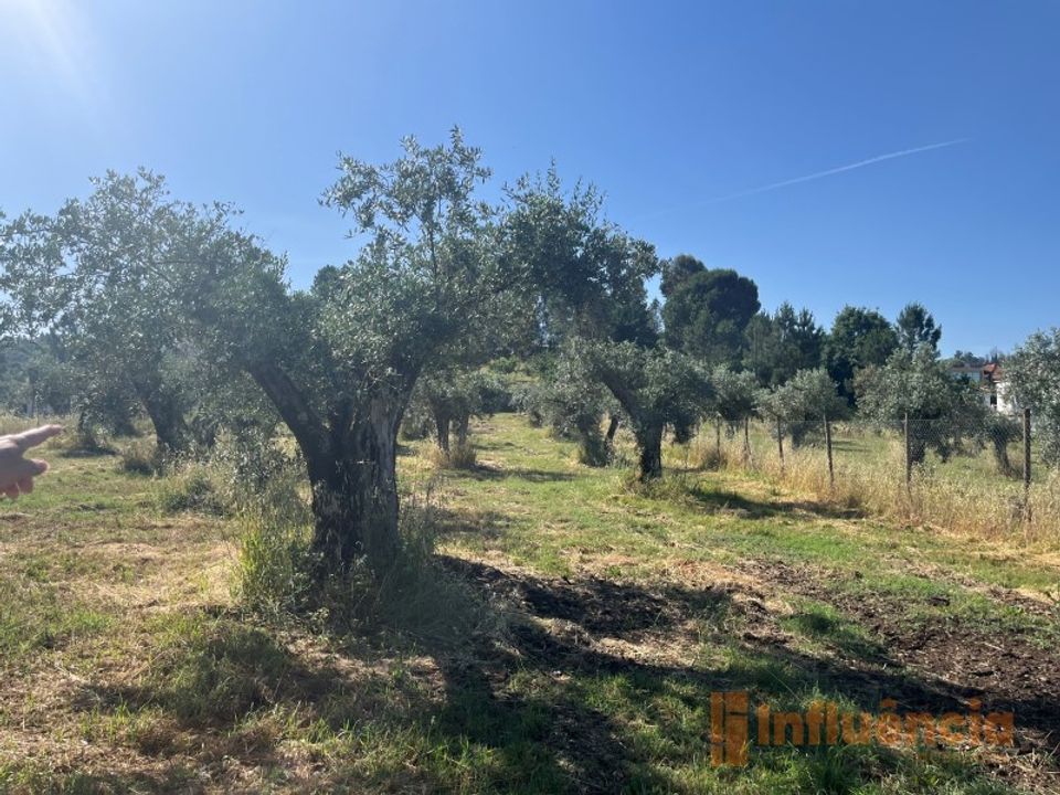 Helårsgrund i Fundao, Castelo Branco - foto 1