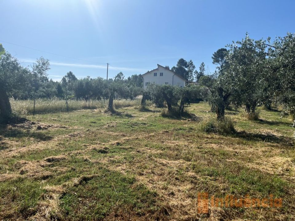Helårsgrund i Fundao, Castelo Branco - foto 2