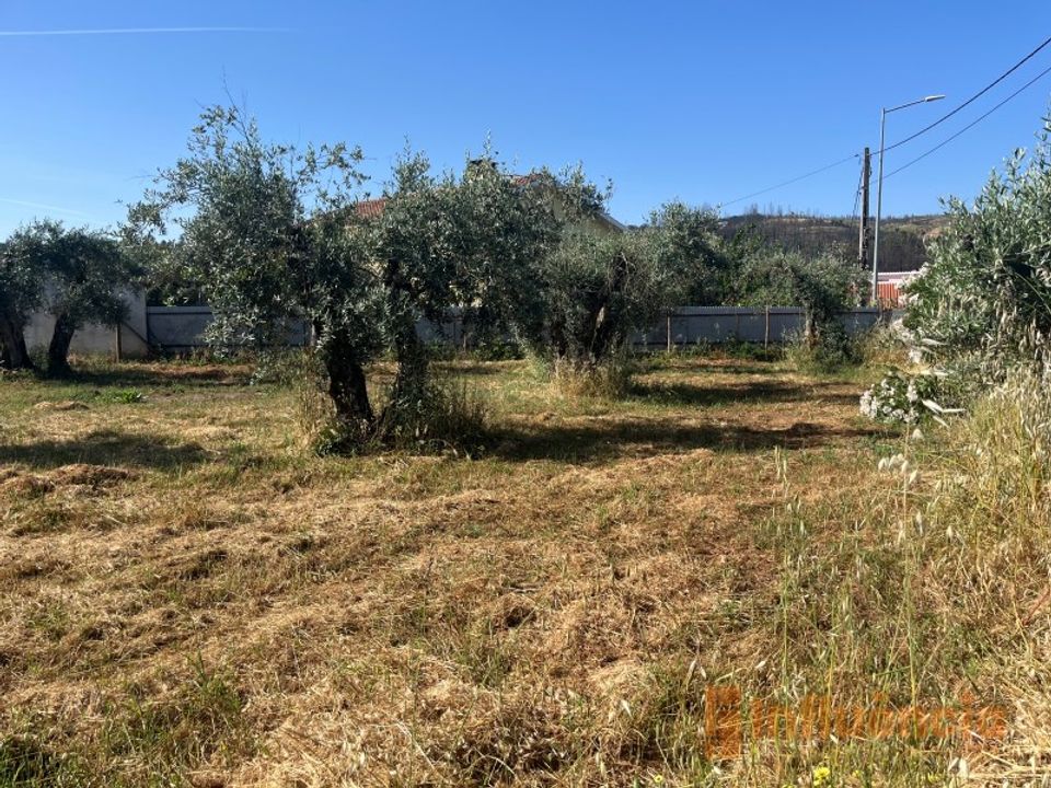 Helårsgrund i Fundao, Castelo Branco - foto 3