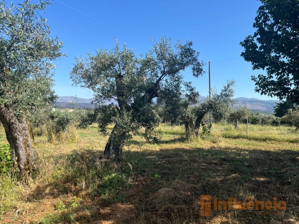 Helårsgrund i Fundao, Castelo Branco - foto 4