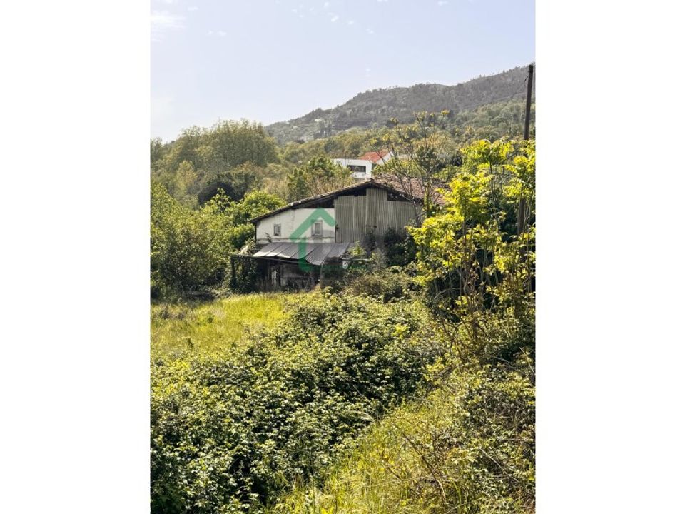 Farm i Boidobra, Castelo Branco - foto 1