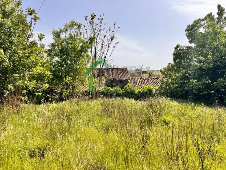 Farm i Boidobra, Castelo Branco - foto 2