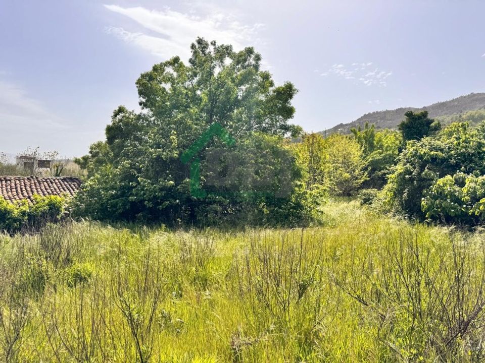 Farm i Boidobra, Castelo Branco - foto 3