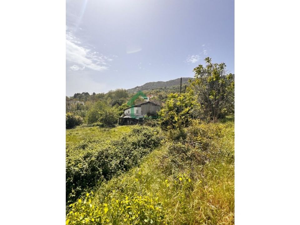 Farm i Boidobra, Castelo Branco - foto 4