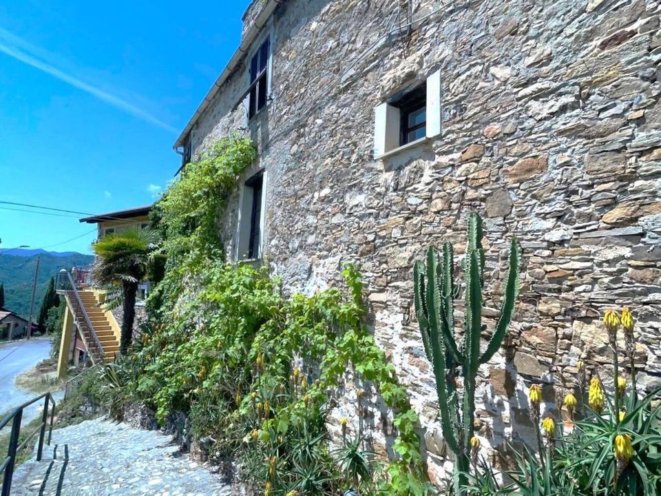 Landejendom i Villanova d'Albenga, Savona - foto 3