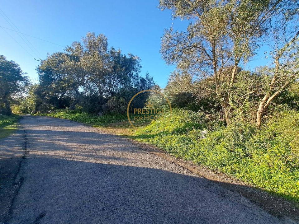 Ruinere i Sao Bras de Alportel, Faro - foto 4