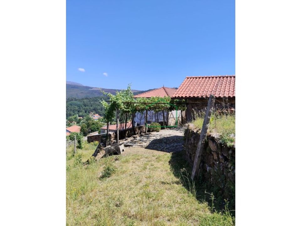 Farm i Caminha, Viana do Castelo - foto 2