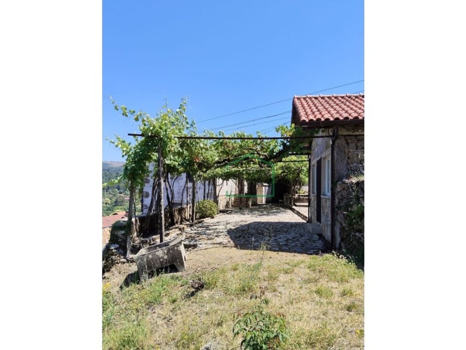 Farm i Caminha, Viana do Castelo - foto 3