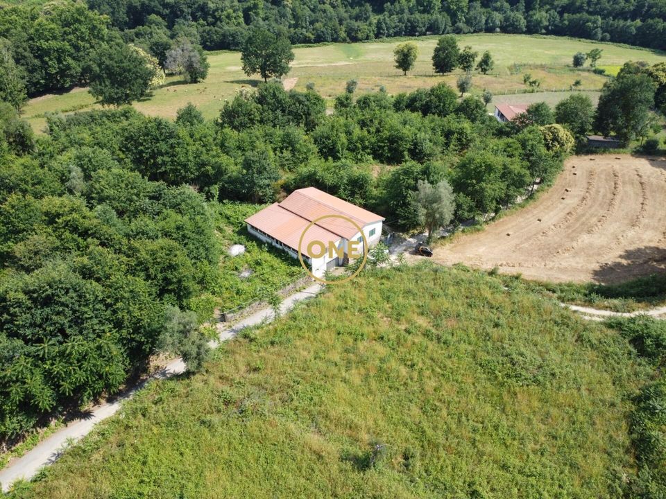 Byhus i Vila Verde, Braga - foto 5