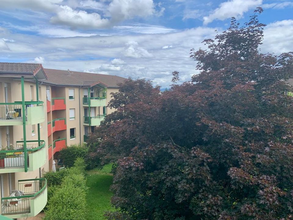 Leilighet i Bourg-en-Bresse, Ain - bilde 1