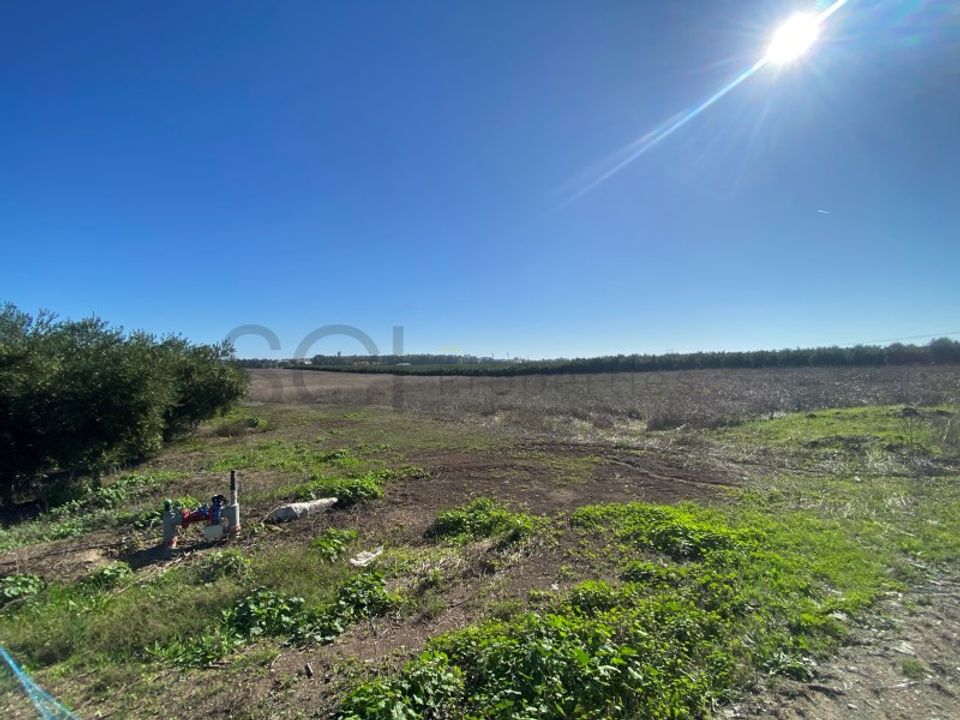 Terra em Beja, Beja - foto 1