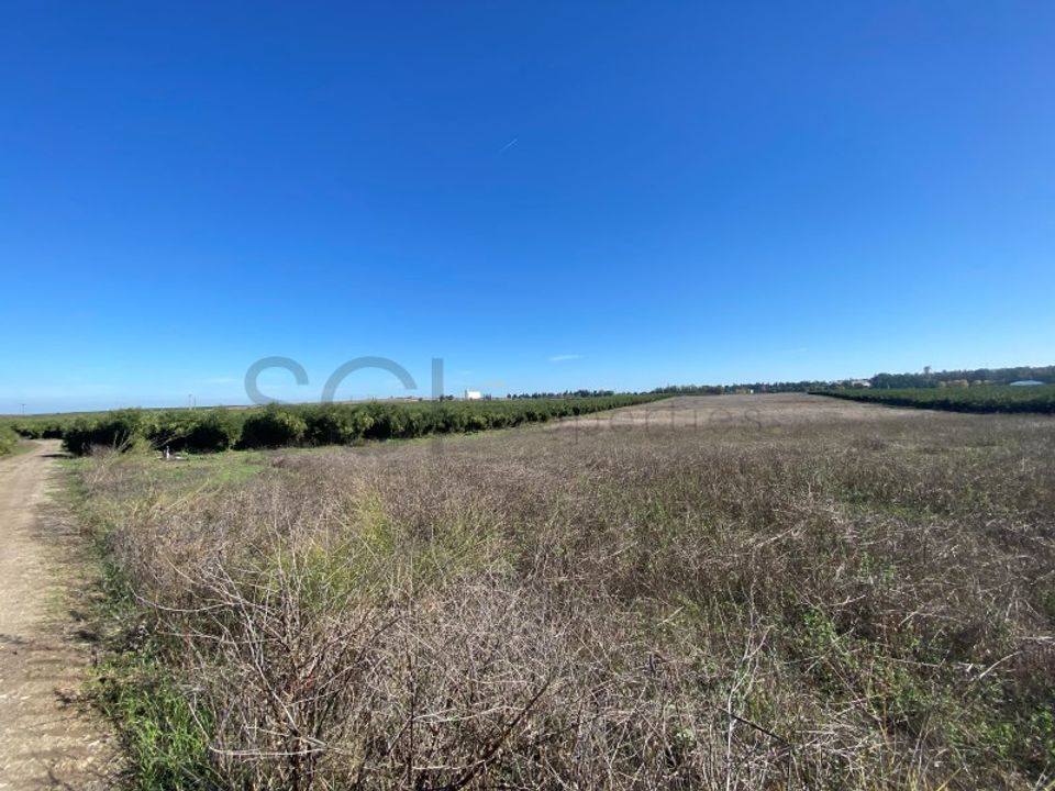Terra em Beja, Beja - foto 2