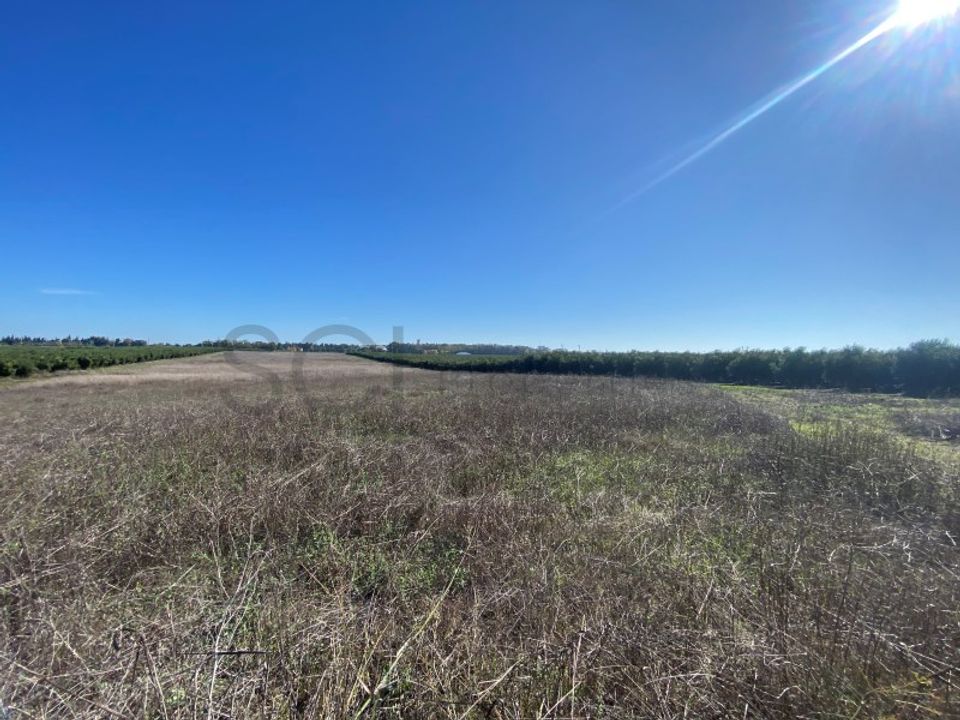 Terra em Beja, Beja - foto 3