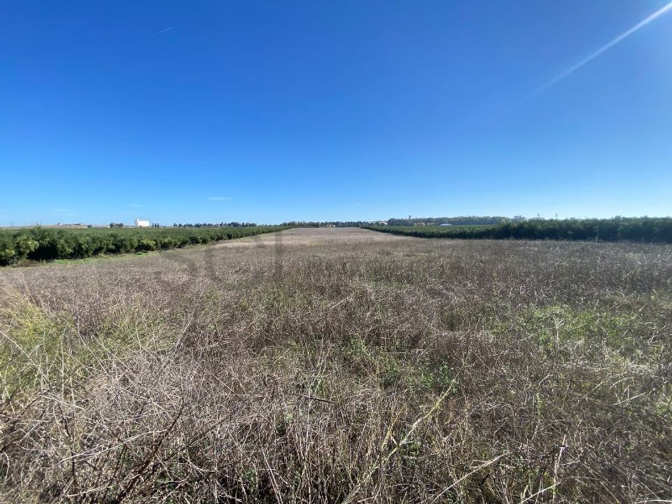 Terra em Beja, Beja - foto 4