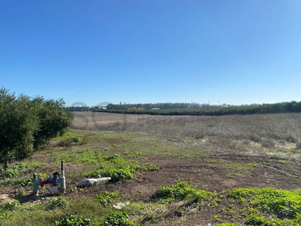 Terra em Beja, Beja - foto 3