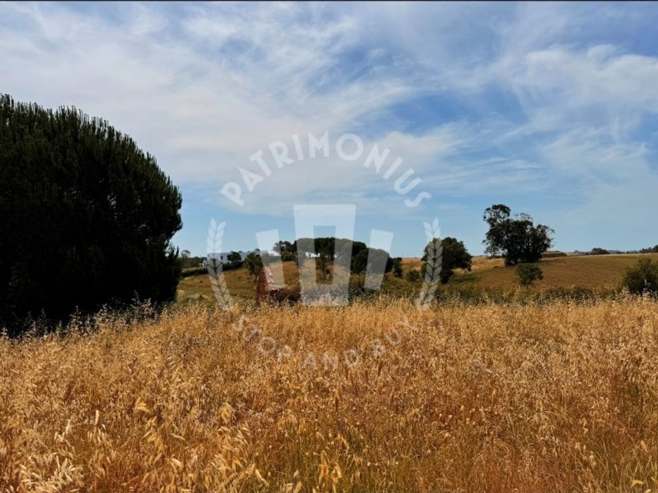 Farm i Cercal do Alentejo, Setubal - foto 1